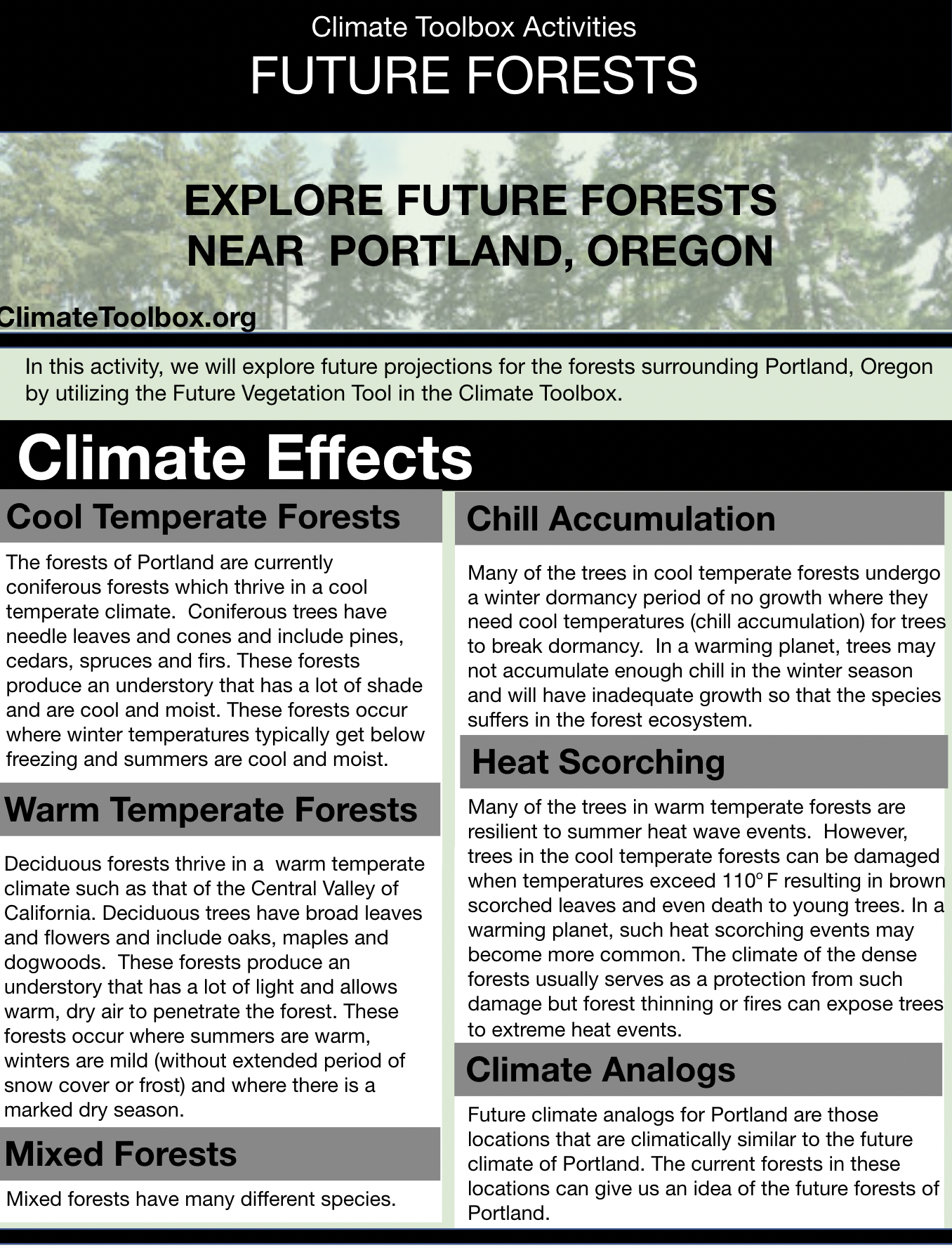 Future Forest Activity