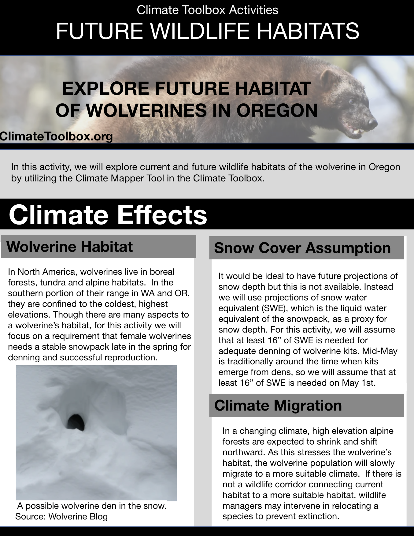 Future Wildlife Habitat Activity