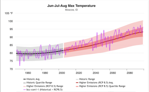 Future Timeseries